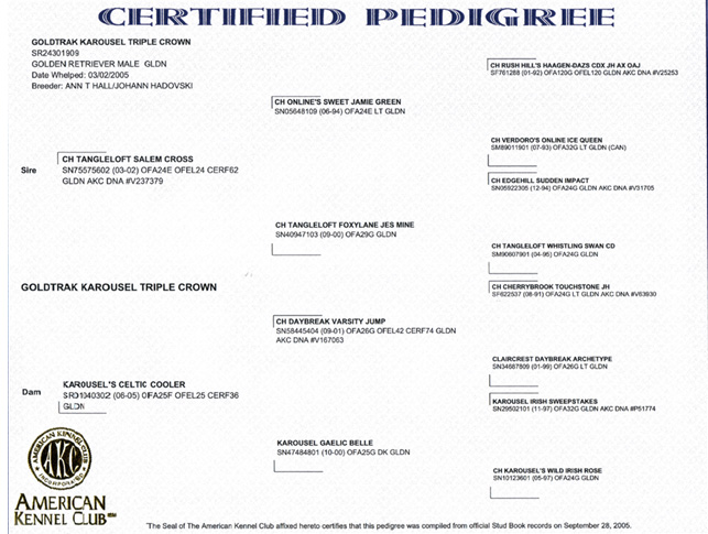 Derby's PEDIGREE
