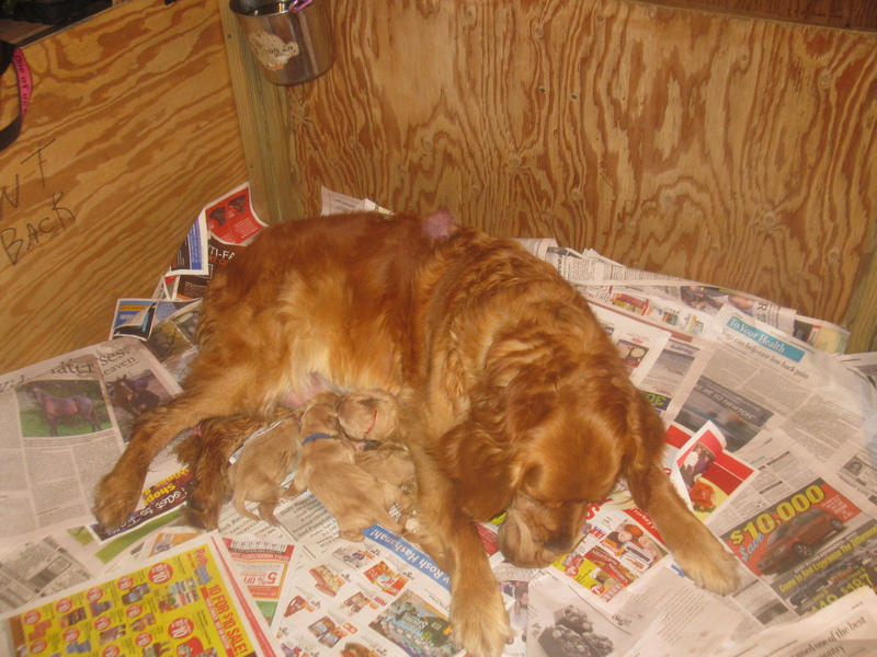 Less than hours old!