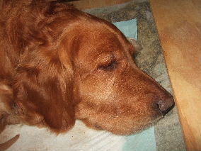 It's been a long day.