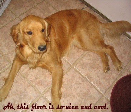 bailey.jpg