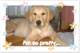 cady4mos_small.jpg