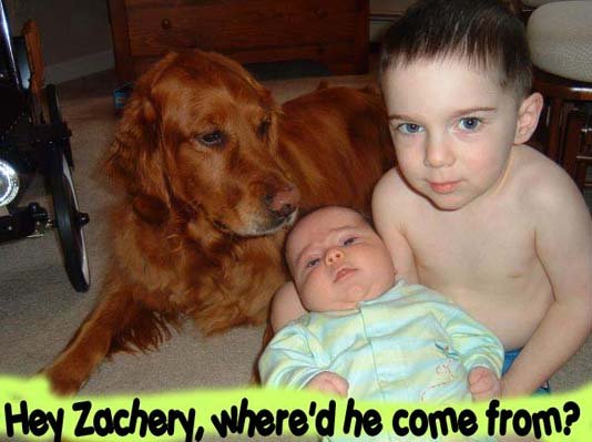 jakeryanzachery.jpg