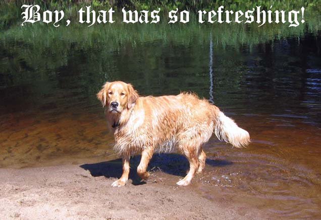 jasperswimming.jpg