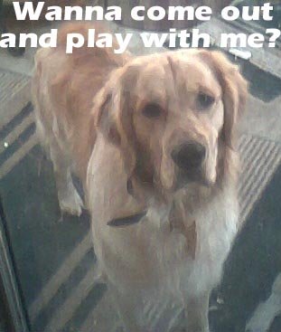 jessie14mos.jpg