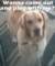 jessie14mos_small.jpg