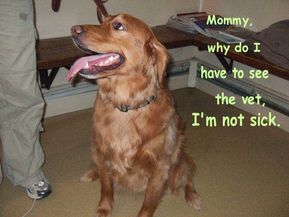 judyf1web.jpg