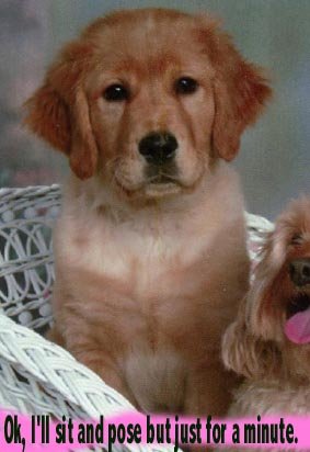 maple4mos.jpg