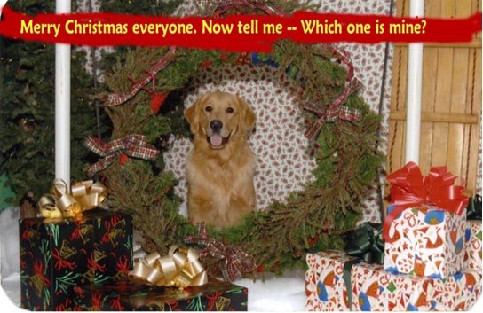 rileygchristmas06.jpg