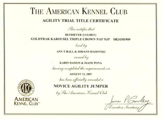 NOVICE AGILITY JUMPERS TITLE
