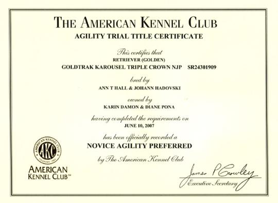 NOVICE AGILITY PREFERRED TITLE