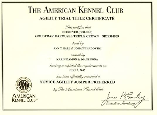 NOVICE AGILITY JUMPERS PREFERRED TITLE
