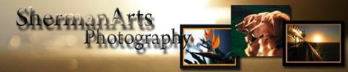 Click on this logo to be taken to Sherman Arts Website.