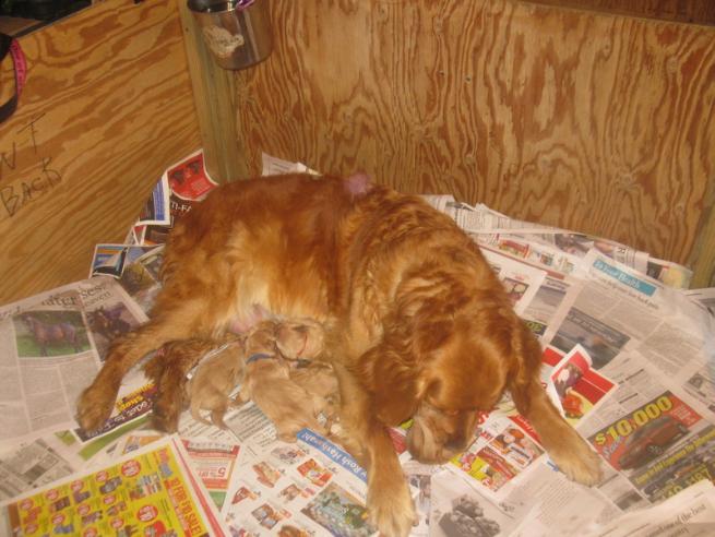 Less than hours old!